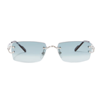 Polychromatic Sunglasses