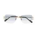 Polychromatic Sunglasses