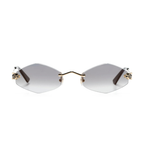 Polychromatic Sunglasses