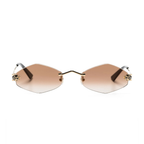 Polychromatic Sunglasses