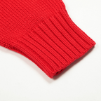 Polo Bear Pullover