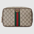 Small Cosmetic Case