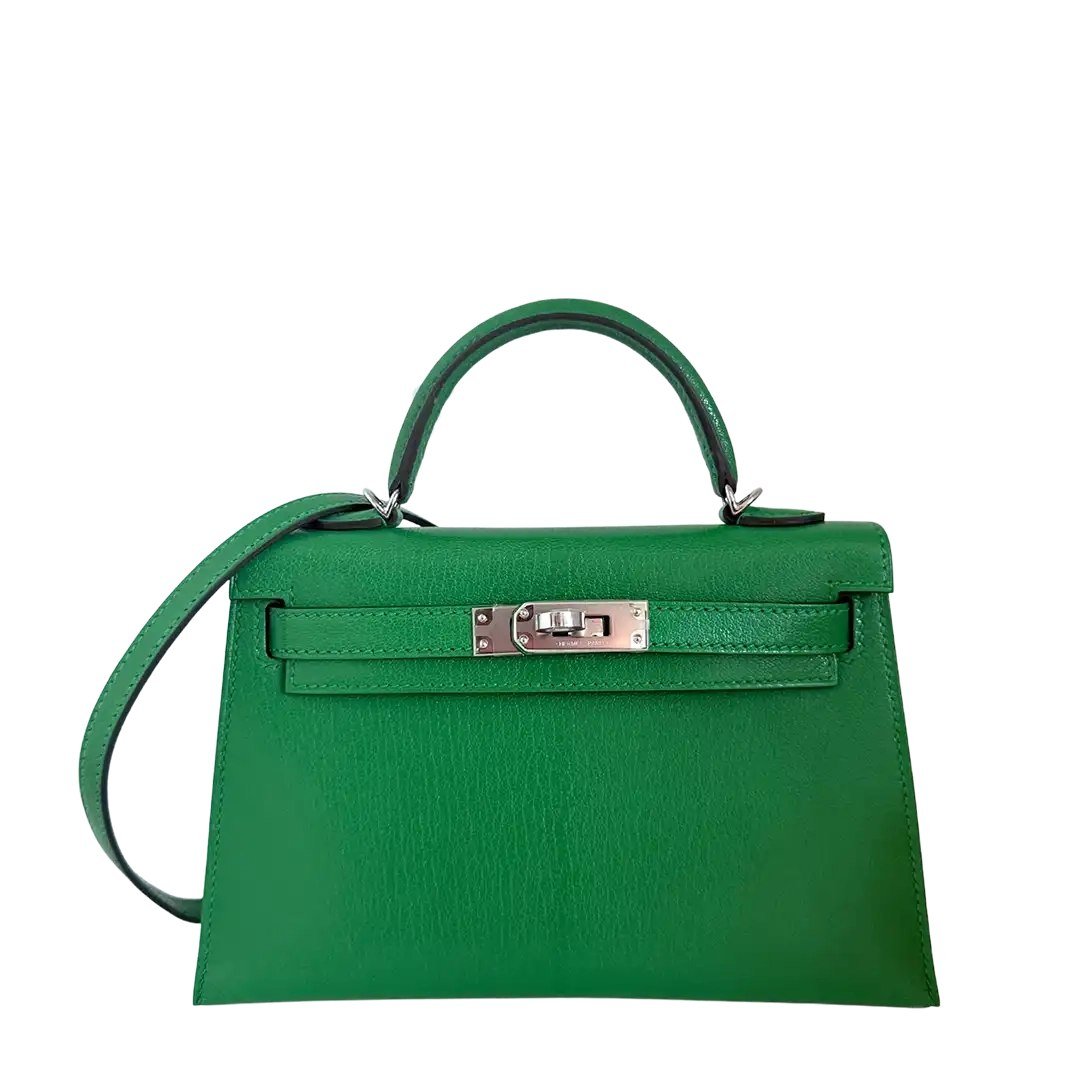 Mini Kelly II 20 Sellier Chevre - UNCCENSORED